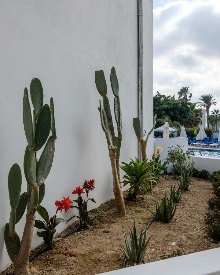 Pandream Hotel Apartments Paphos Exterior photo